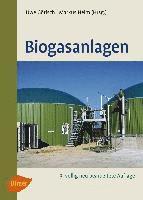 bokomslag Biogasanlagen