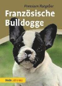 bokomslag Französische Bulldogge