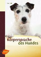 Körpersprache des Hundes 1