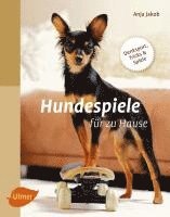 bokomslag Hundespiele für zu Hause