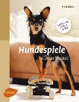 Hundespiele für zu Hause 1