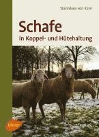 bokomslag Schafe in Koppel- und Hütehaltung