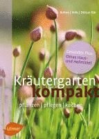 bokomslag Kräutergarten kompakt