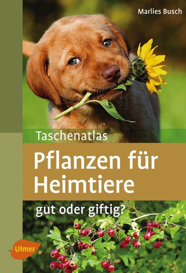 Marlies Busch - Taschenatlas Pflanzen für Heimtiere, Häftad