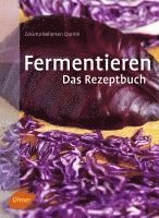 bokomslag Fermentieren. Das Rezeptbuch