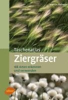 bokomslag Taschenatlas Ziergräser