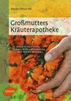 bokomslag Großmutters Kräuterapotheke