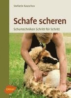 Stefanie Kauschus - Schafe scheren, Häftad
