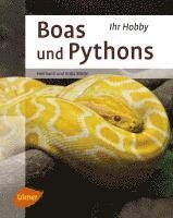 bokomslag Boas und Pythons