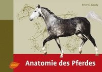 bokomslag Anatomie des Pferdes