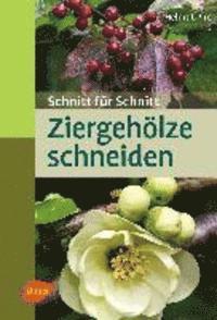 Helmut Pirc - Ziergehölze schneiden, Häftad