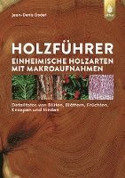 bokomslag Holzführer
