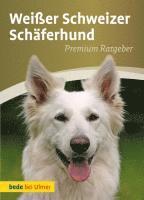 Weißer Schweizer Schäferhund 1