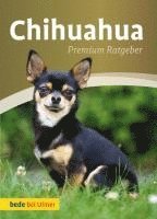 Annette Schmitt - Chihuahua, Inbunden