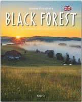 Journey through the Black Forest 1