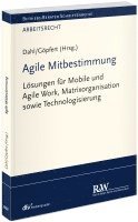 Agile Mitbestimmung 1