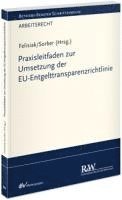 bokomslag Praxisleitfaden zur Umsetzung der EU-Entgelttransparenzrichtlinie