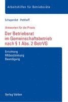 bokomslag Der Betriebsrat im Gemeinschaftsbetrieb nach § 1 Abs. 2 BetrVG