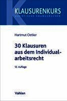 Hartmut Oetker - 30 Klausuren aus dem Individualarbeitsrecht, Häftad