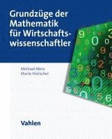 bokomslag Grundzüge der Mathematik für Wirtschaftswissenschaftler