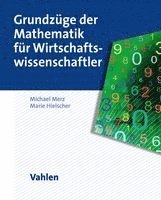 Michael Merz, Marie Hielscher - Grundzüge der Mathematik für Wirtschaftswissenschaftler, Häftad
