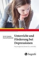 bokomslag Unterricht und Förderung bei Depressionen