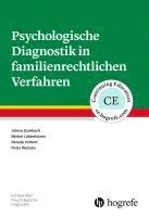 bokomslag Psychologische Diagnostik in familienrechtlichen Verfahren