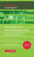 Data Analytics in der Wirtschaftsprüfung 1