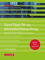 bokomslag Excel-Tipps für die Jahresabschlussprüfung