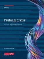 Institut der Wirtschaftsprüfer in Deutschland e. V. - Prüfungspraxis, Inbunden