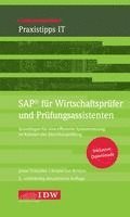 SAP für Wirtschaftsprüfer und Prüfungsassistenten