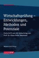 bokomslag Wirtschaftsprüfung - Entwicklungen, Methoden und Potenziale