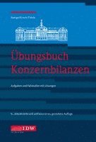 bokomslag Übungsbuch Konzernbilanzen, 9. Aufl.