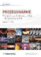 Franz Beneke - PROZESSWÄRME, Häftad
