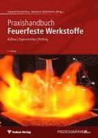 bokomslag Praxishandbuch Feuerfeste Werkstoffe