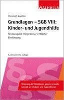 Christoph Knödler - Grundlagen - SGB VIII: Kinder- und Jugendhilfe, Häftad