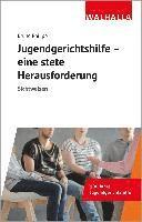 bokomslag Jugendgerichtshilfe - eine stete Herausforderung