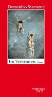 Domenico Starnone - Im Vertrauen, Inbunden