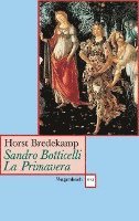 bokomslag Sandro Botticelli: Primavera