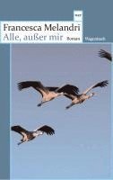 Francesca Melandri - Alle, außer mir, Häftad
