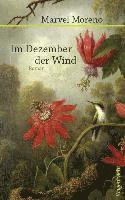 bokomslag Im Dezember der Wind