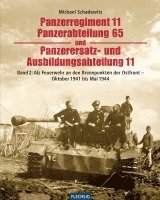 bokomslag Panzerregiment 11, Panzerabteilung 65 und Panzerersatz- und Auslbildungsabteilung 11. Teil 02.