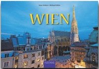 bokomslag Wien Panorama