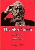 bokomslag Theodor Storm