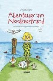 bokomslag Abenteuer am Nordseestrand