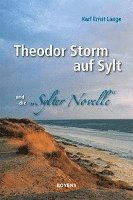bokomslag Theodor Storm auf Sylt und seine 'Sylter Novelle'
