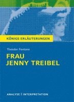 bokomslag Frau Jenny Treibel. Textanalyse und Interpretation