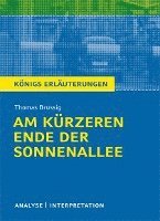 bokomslag Am kürzeren Ende der Sonnenallee. Textanalyse und Interpretation zu Thomas Brussig
