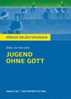 bokomslag Horvath/Jugend ohne Gott