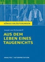 Aus dem Leben eines Taugenichts. Textanalyse und Interpretation 1